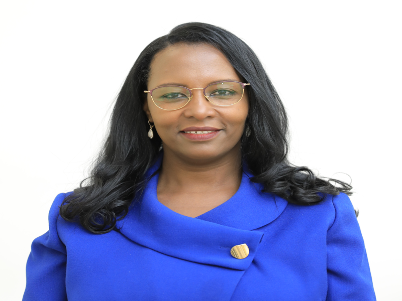 የተከበሩ ወ/ሮ አዳነች አበቤ